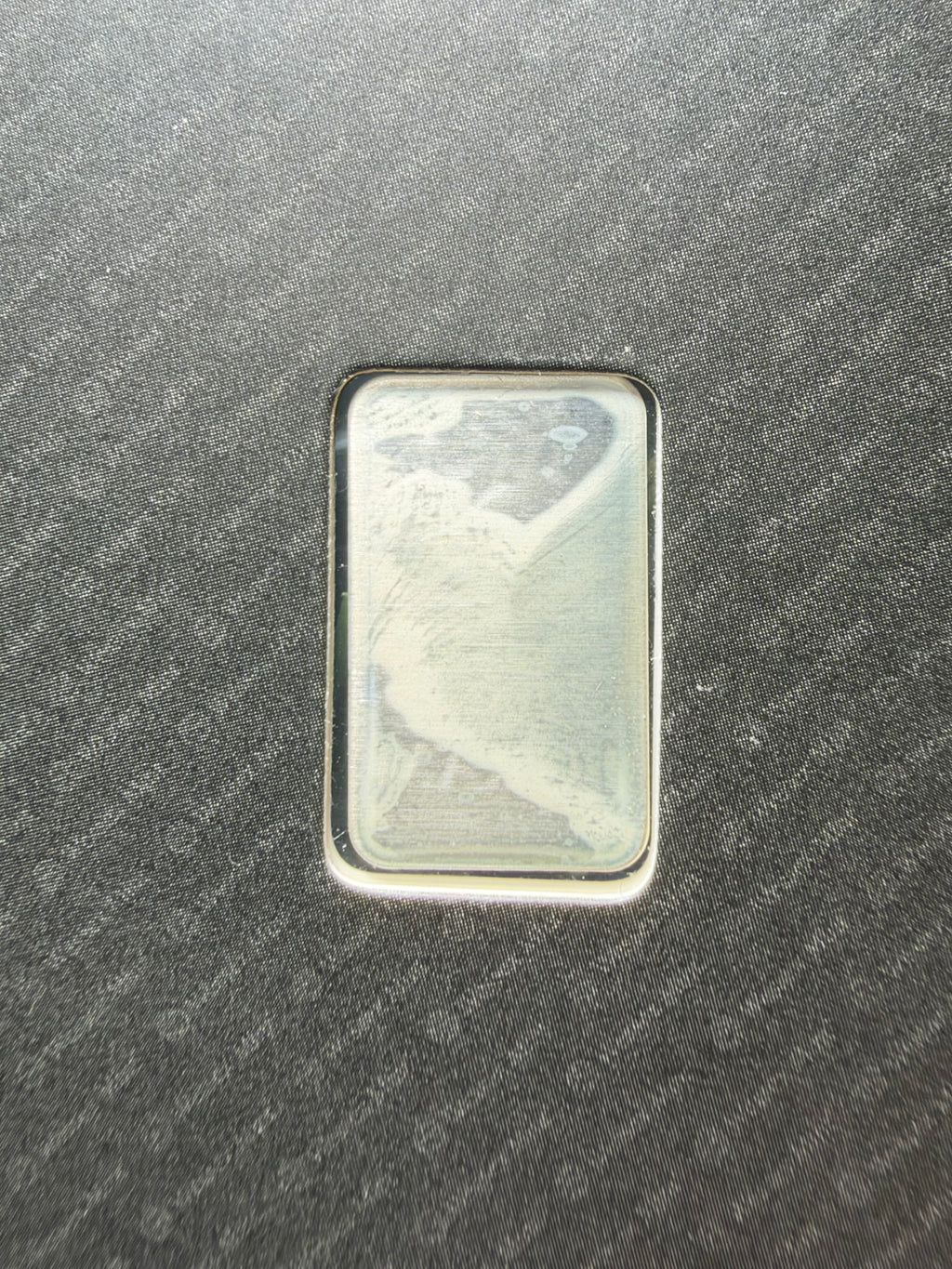 1g Wessex Mint Silver Bar In Assay Card Australian Kangaroo
