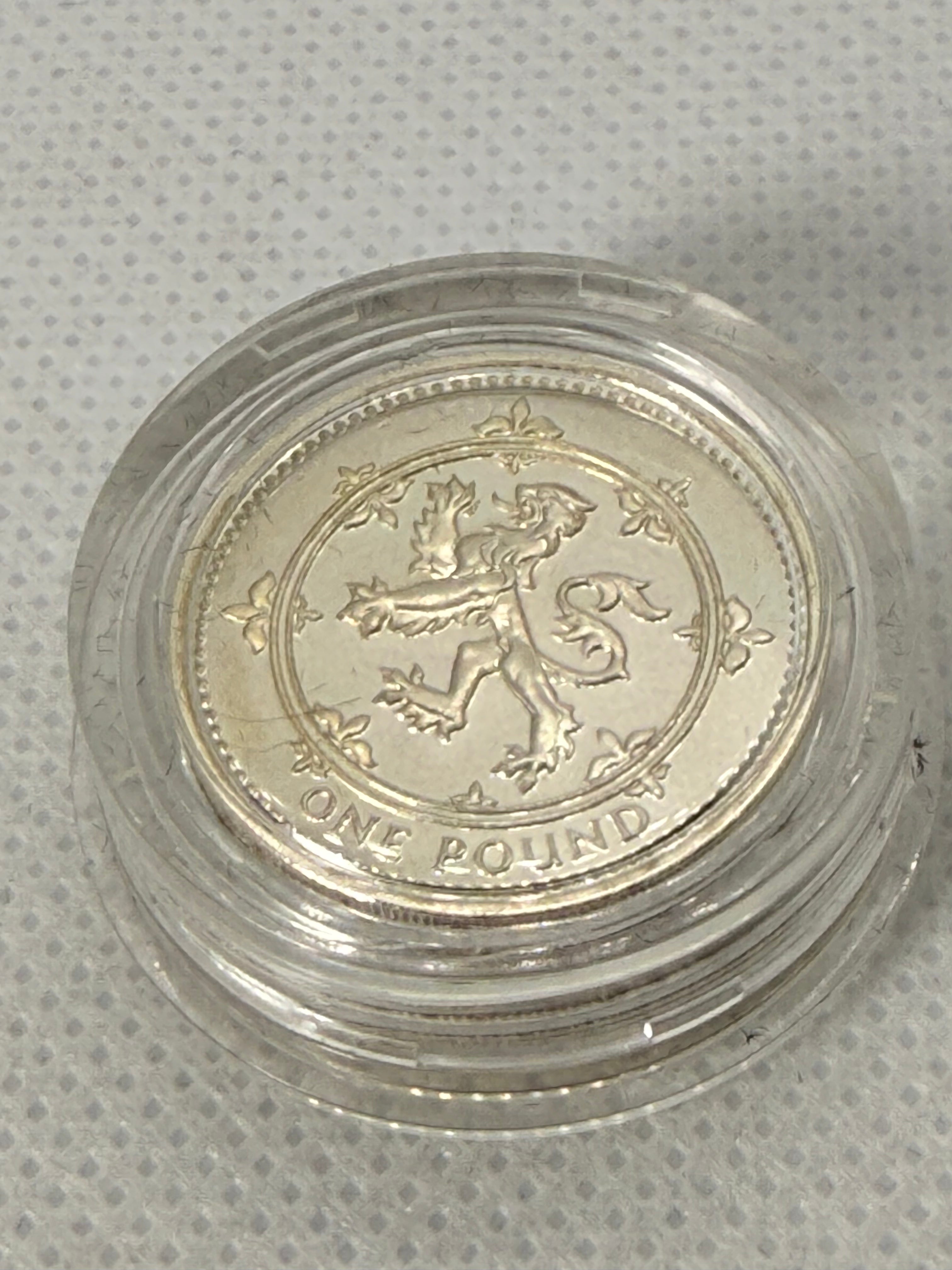 Royal Mint 1999 Silver Proof £1 coin in Presentation Box with COA