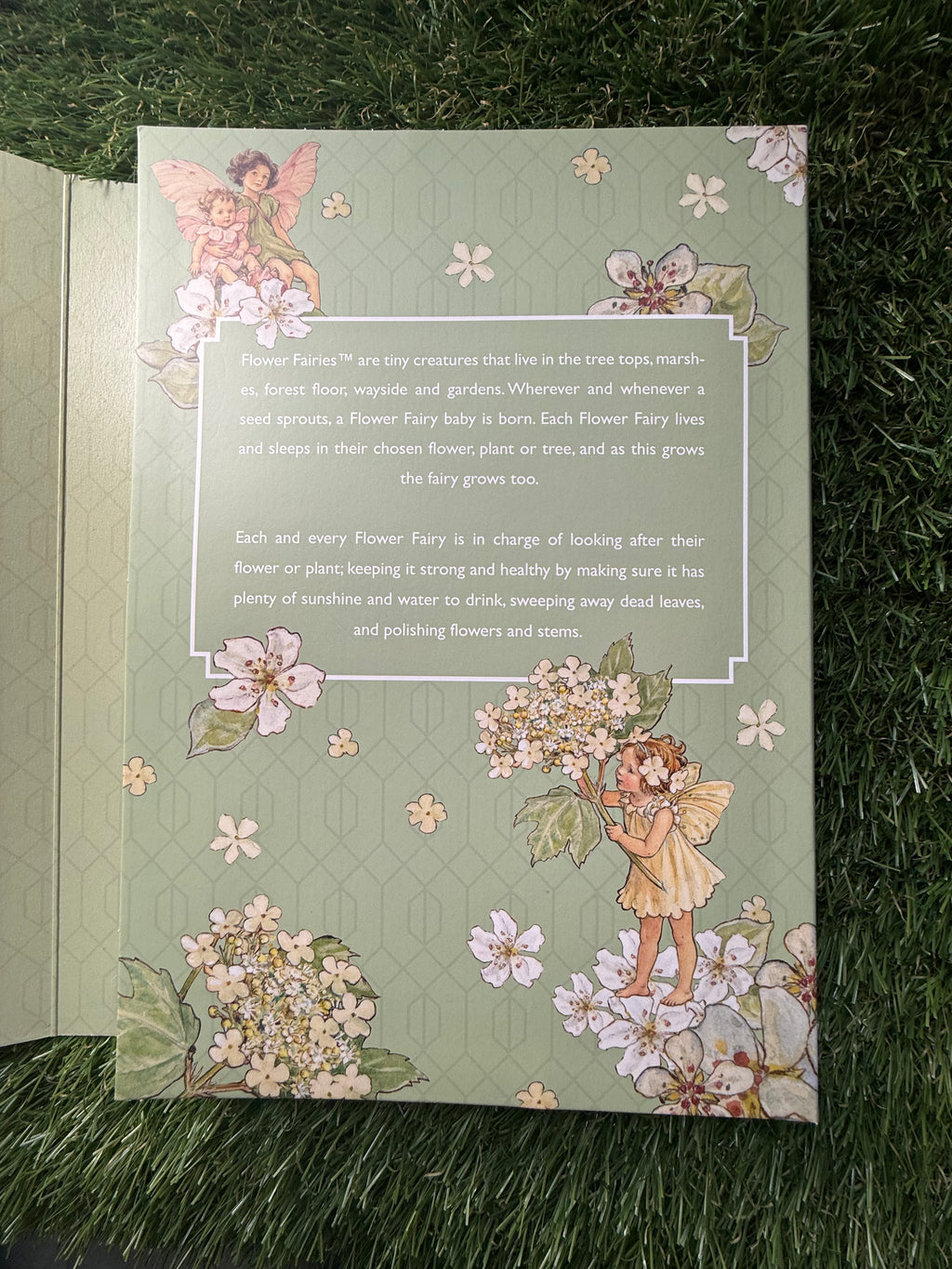 2025🌹Flower Fairies🧚Blossoms and Branches COMPLETE Coin Collection Limited Edition