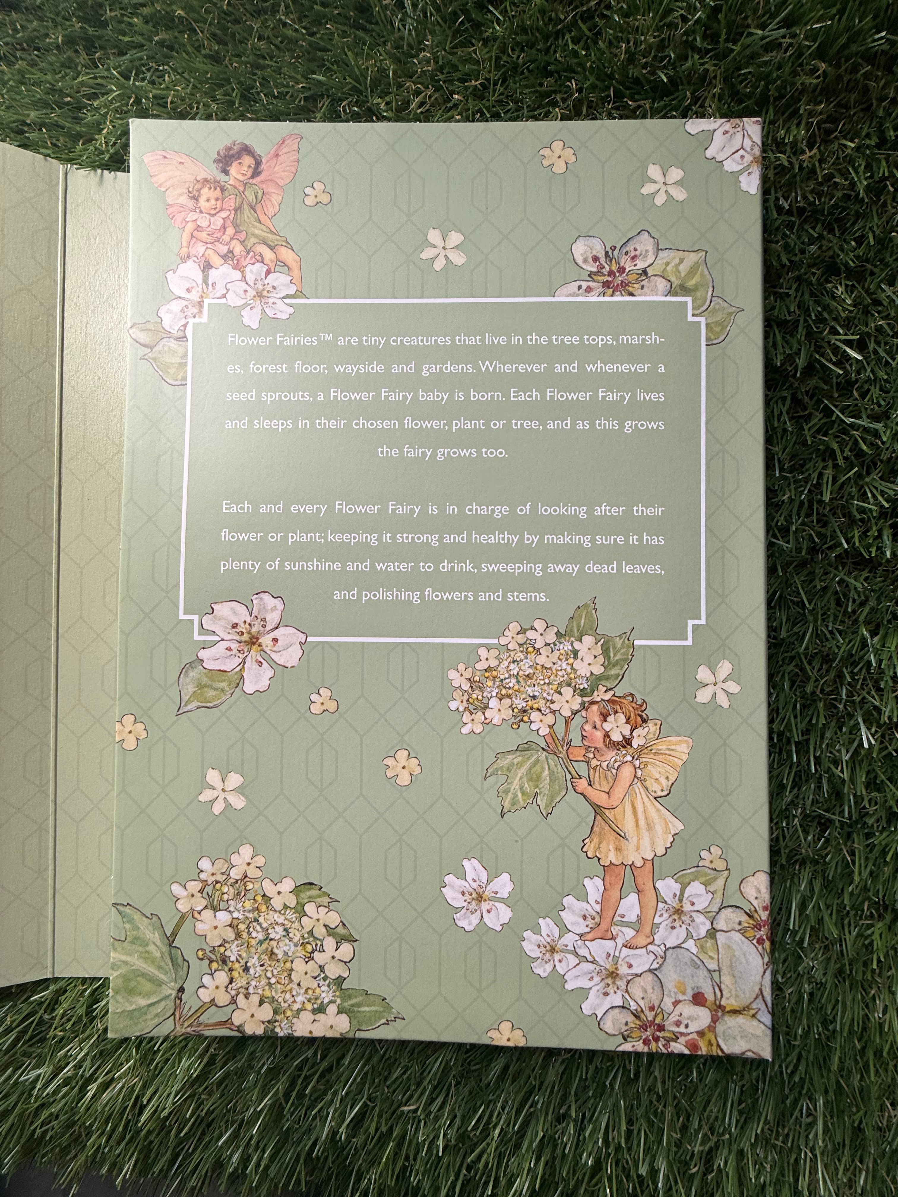 2025🌹Flower Fairies🧚Blossoms and Branches COMPLETE Coin Collection Limited Edition