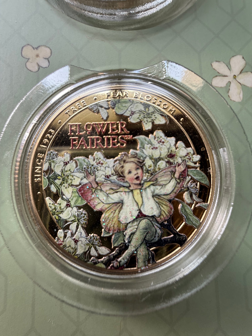 2025🌹Flower Fairies🧚Blossoms and Branches COMPLETE Coin Collection Limited Edition