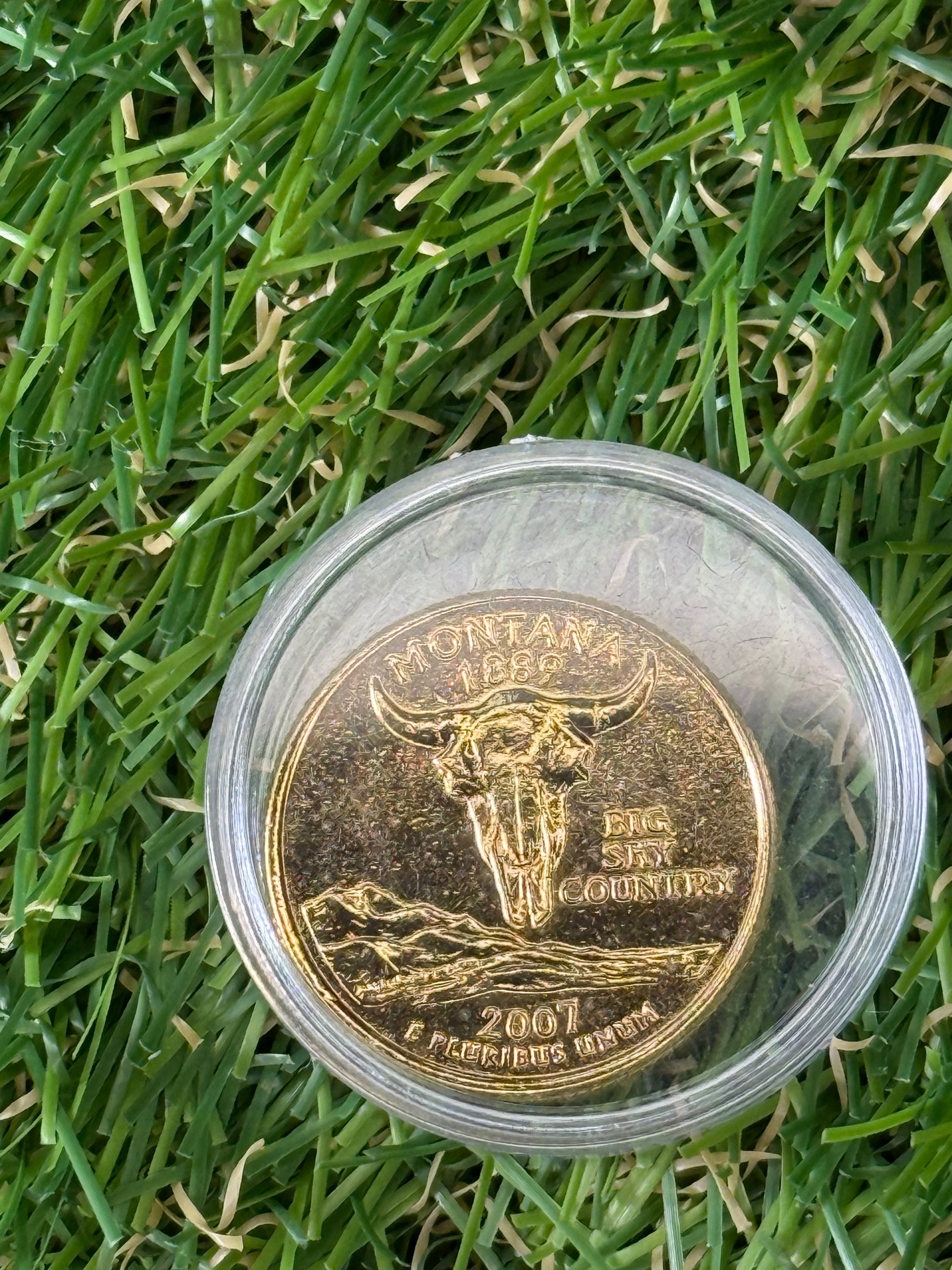 1999 - 2009 US States Quarter Dollar P or D Mint Mark Gold Coloured Coin - Various States Available