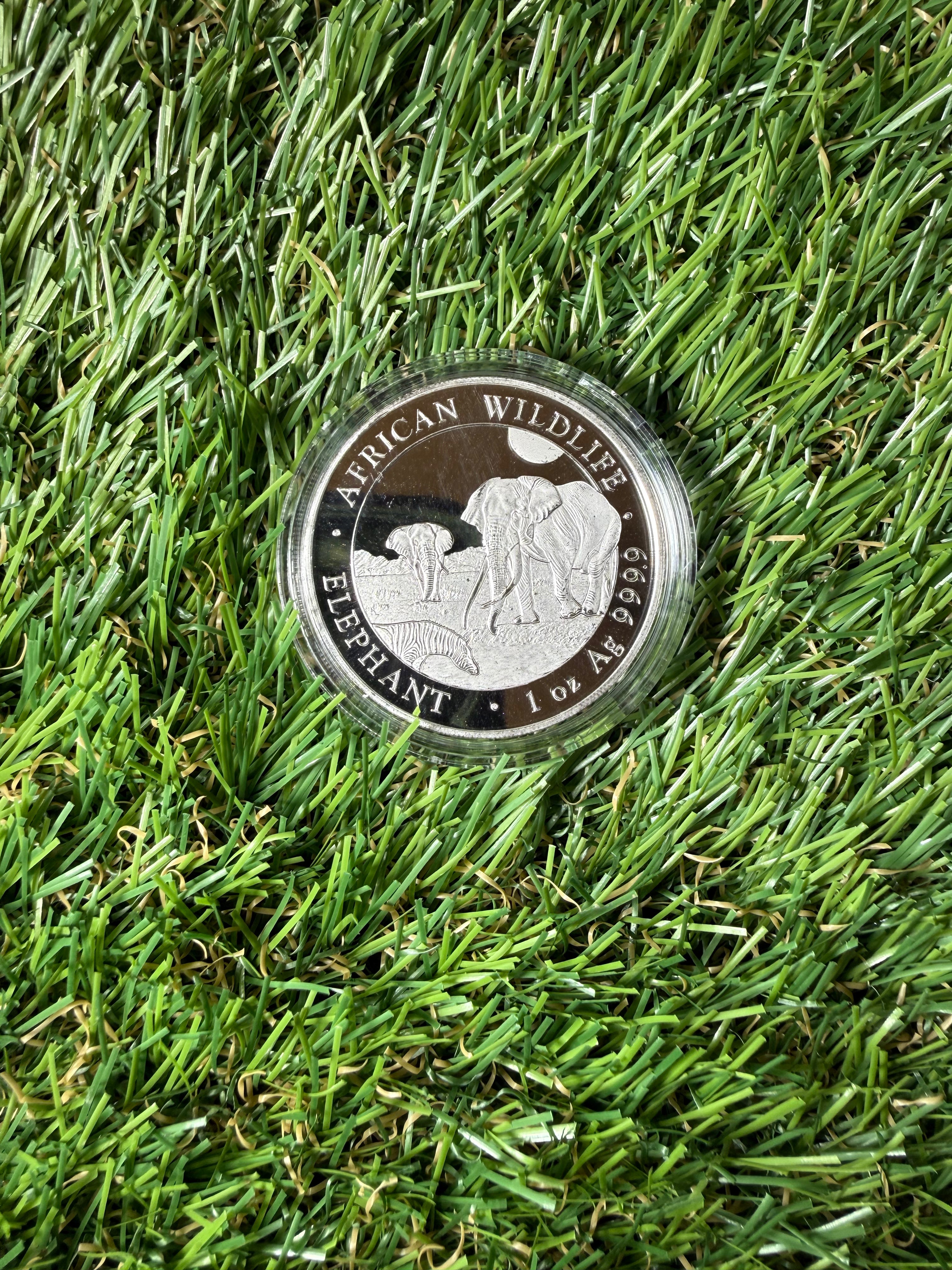 2026 1oz fine 999.9 Silver African Elephant Round Somali Republic 100 Shillings Coin