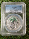 Niue Mermaid 2026 Emerald Green Hair Colourised 1 OZ .999 Fine Silver PCGS PR69